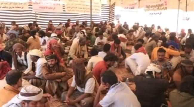 لطرد مليشيا الإخوان.. حشود المديريات الغربية بـ شبوة تتوافد لمخيم الاعتصام في عرماء