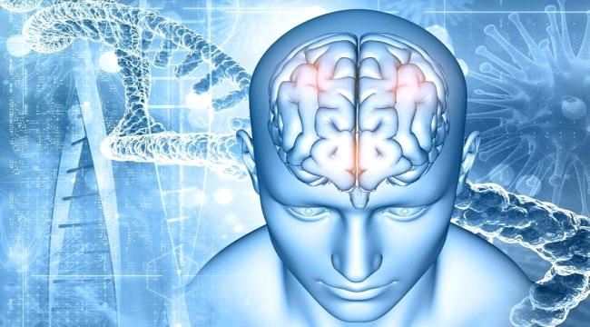 الأورام الدماغية.. طرق التشخيص والعلاج