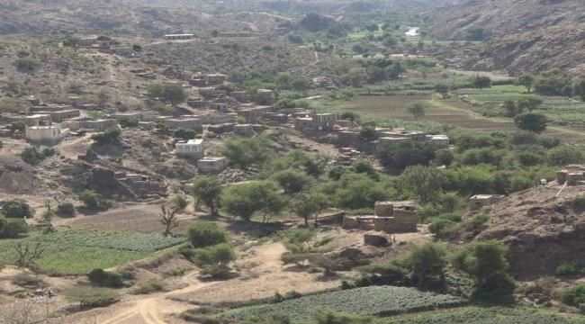 عصابة مسلحة تنهب سيارة قات بالضالع