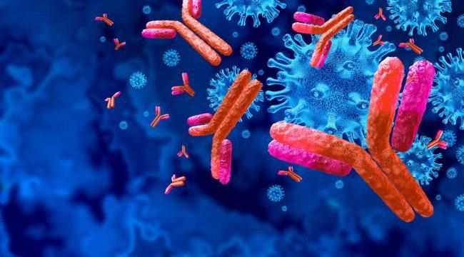 خبر ولا أروع… مصابو أوميكرون يهزمون كافة متحورات كورونا