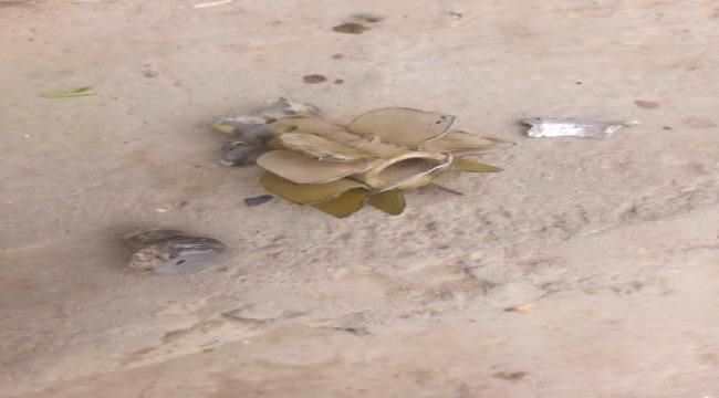 مليشيا الحوثي تواصل خروقاتها للهدنة في جبهة طور الباحة – حيفان