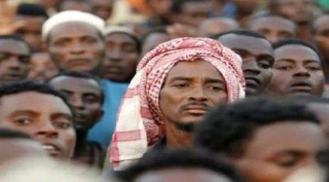 صنعاء.. حملة مطاردة حوثية "شعواء" لتجنيد اللاجئين