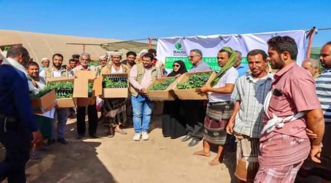 منظمة يمن ايد توزع 10000 شتلة نباتية و توريد وبناء ٤١ بيت محمي لمزارعي مديرية تبن في لحج