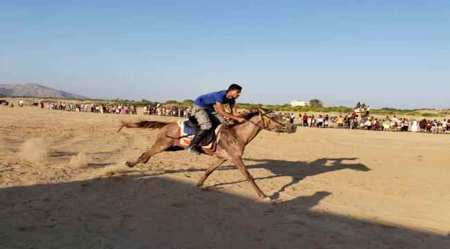 إحياءٌ للموروث العربي الأصيل... سباقٌ للخيول بأبين