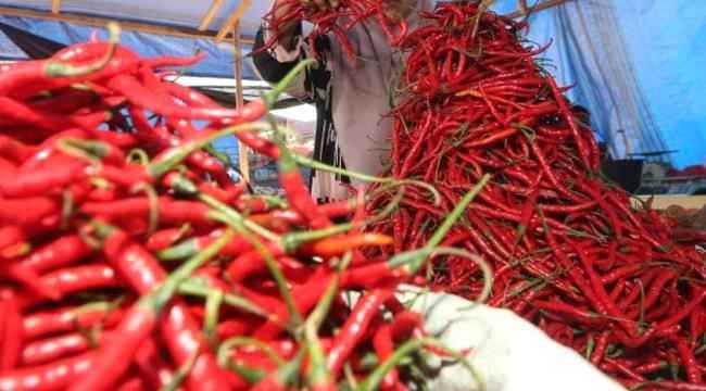 نوع من الفلفل يحارب 3 متحورات لفيروس «كورونا»