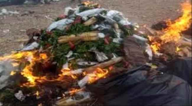 بعد رفضه الضربية العالية.. حوثيون يجبرون بائع قات على خلع ملابسه بشكل كامل في صنعاء وإحراق كمية كبيرة من بضاعته!