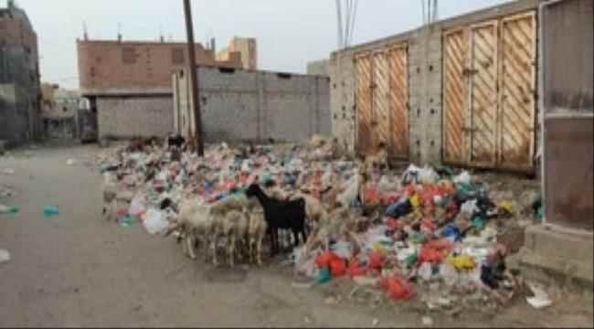 في ظل غياب تام لسلطة المديرية..مدينة زنجبار بأبين تغرق في القمامة 