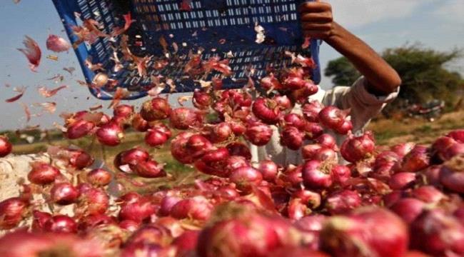  أسواق البصل لم تفلت من قبضة الغلاء