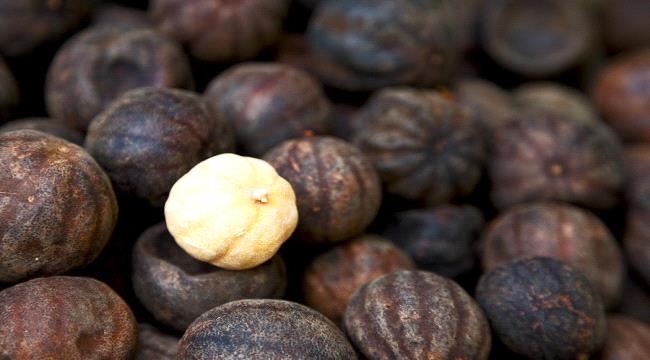 فوائد الليمون الأسود لجرثومة المعدة ولمشاكل مرضية أخرى