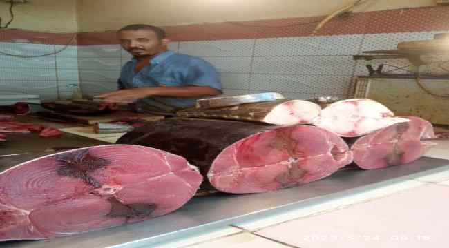 أسعار الأسماك بعدن