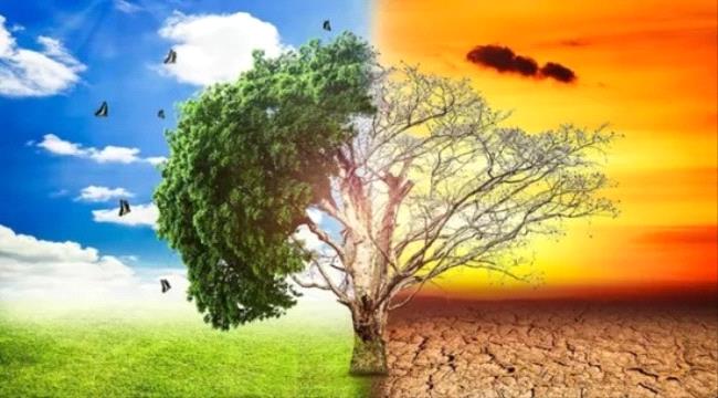 علماء أوروبيون: العام الحالي الأكثر حرارة منذ 125 ألف عام 