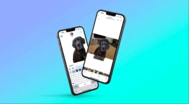كيفية إزالة الخلفية من أى صورة على نظام iOS.. اعرف الخطوات