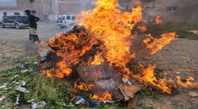 محافظ سقطرى يوضح سبب منع دخول القات للارخبيل