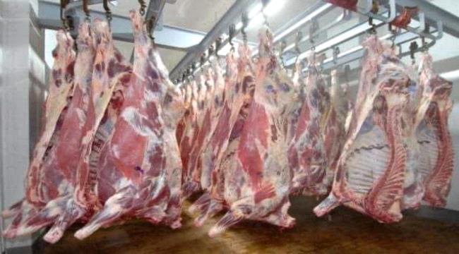 ارتفاع أسعار اللحوم بعدن