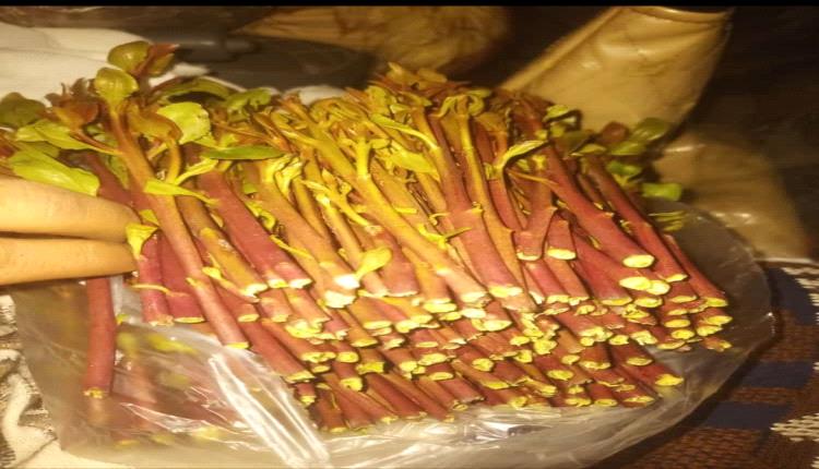 محافظة جنوبية تبدأ عملية منع دخول القات الى مناطقها والأمن ينتشر لمنع دخوله
