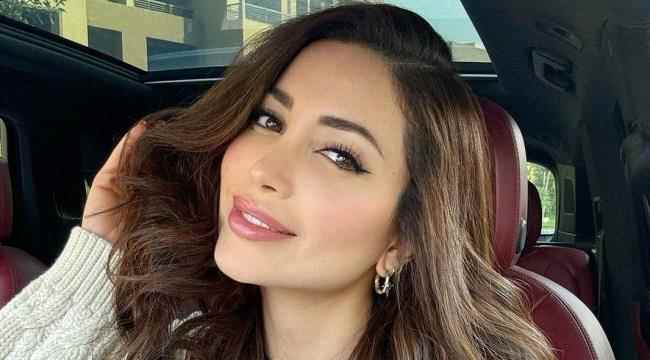 أناقة وجمال وتنمية بشرية ... الفنانةنسرين طافش في عيدها الـ42