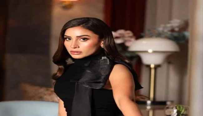 الفنانة دينا الشربيني تبدأ التحضير للجزء الثالث من "كامل العدد" في سريّة تامة