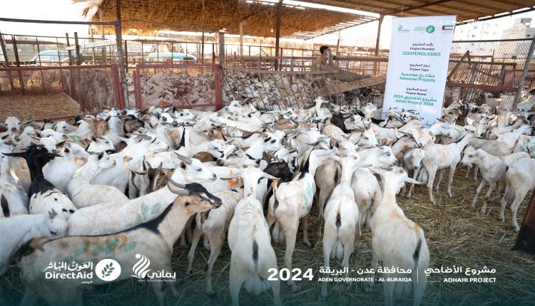 جمعية العون المباشر ومؤسسة يماني تدشنان مشروع الأضاحي في عدن
