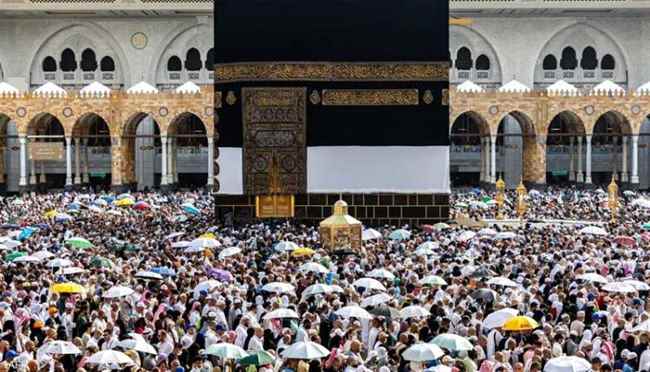 "قرار من السيسي" بعد وفاة حجاج مصريين