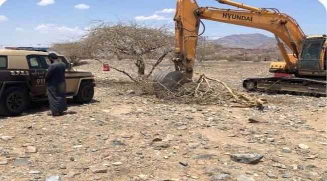 القبض على مقيم يمني في السعودية لاقتلاعه عددًا من الأشجار