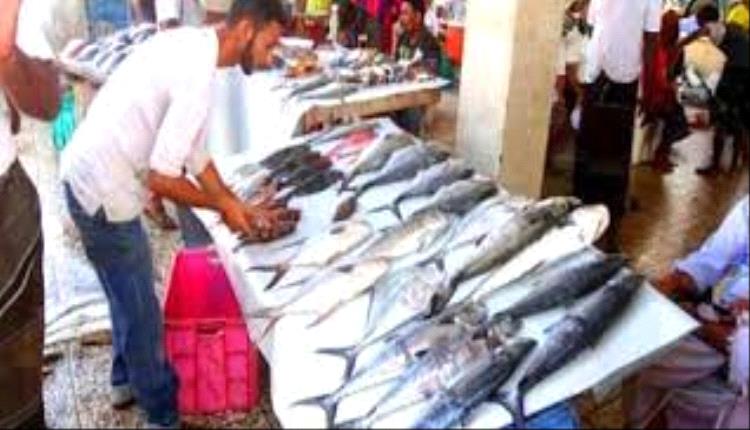 أسعار الأسماك اليوم الأربعاء 4 سبتمبر في العاصمة عدن