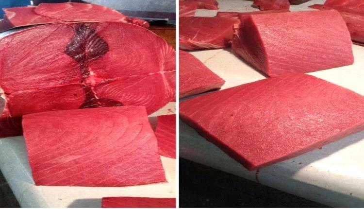 أسعار الأسماك في السوق المحلية للعاصمة عدن اليوم