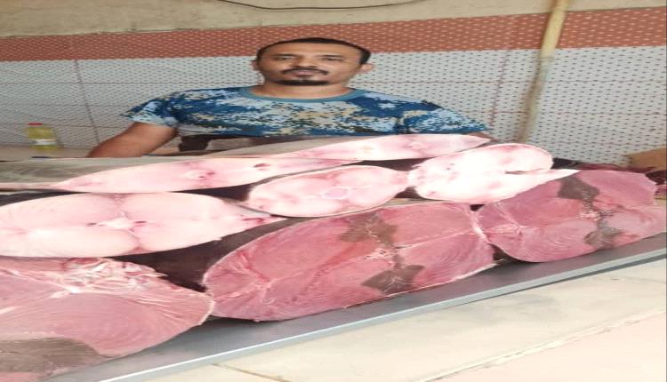 أسعار الاسماك في عدن اليوم الثلاثاء