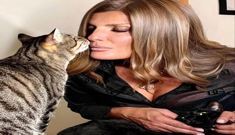 فیدرا تواجه الشائعات بصراحة: "أعمالي تتحدث عني" (فيديو)