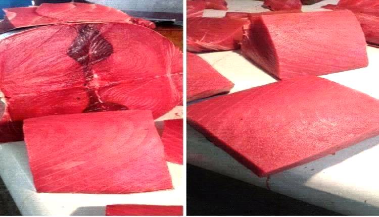 أسعار الأسماك اليوم الثلاثاء فى عدن