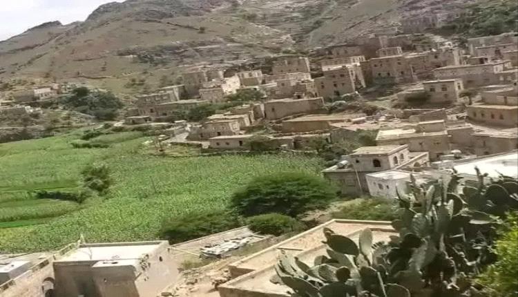 جثة فتاة معلقة في شجرة تثير الرعب في هذه المحافظة!