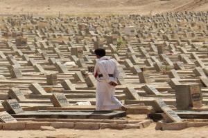 الحوثيون يحشدون إلى جبهات مأرب ولحج والساحل الغربي