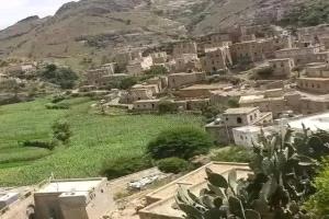 جثة فتاة معلقة في شجرة تثير الرعب في هذه المحافظة!