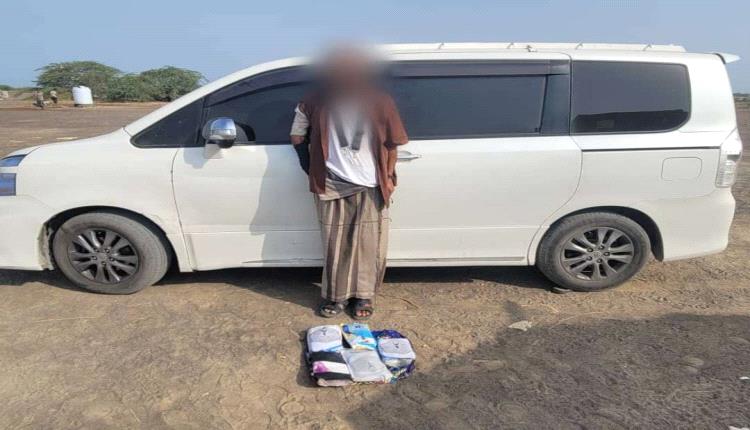 أبين.. حزام الساحل يضبط متهم بحيازة خمسة كيلو من الحشيش بشقرة