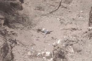 في حادثة محاطة بالغموض .. العثور على جثة مجهولة الهوية في هذه المحافظة!