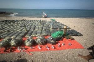 الحملة الأمنية المشتركة تضبط قاربًا محمّلًا بصواريخ وذخائر قبالة ساحل العارة