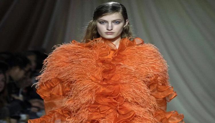 من الماضي إلى الحاضر.. الريش يعود بأسلوب ساحر يجذب الأنظار