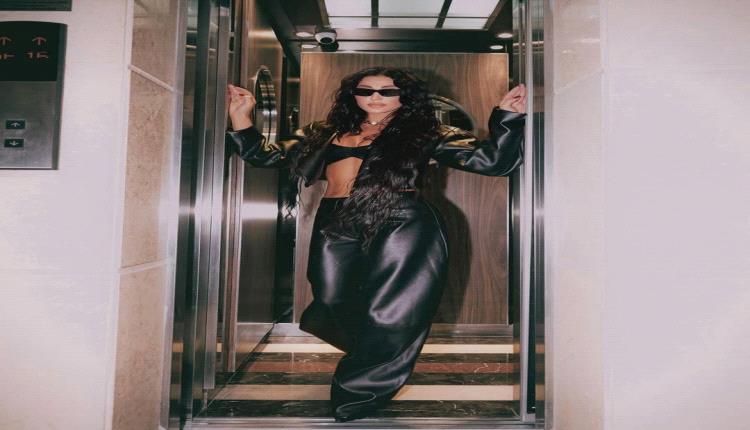 "جرأة وأناقة… هبة نور تخطف الأضواء بإطلالة جلدية مميزة"