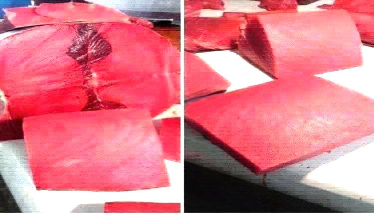 أسعار الأسماك اليوم السبت فى عدن 25 اكتوبر