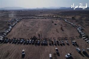 مأرب.. قبائل مراد ترحب بـ 