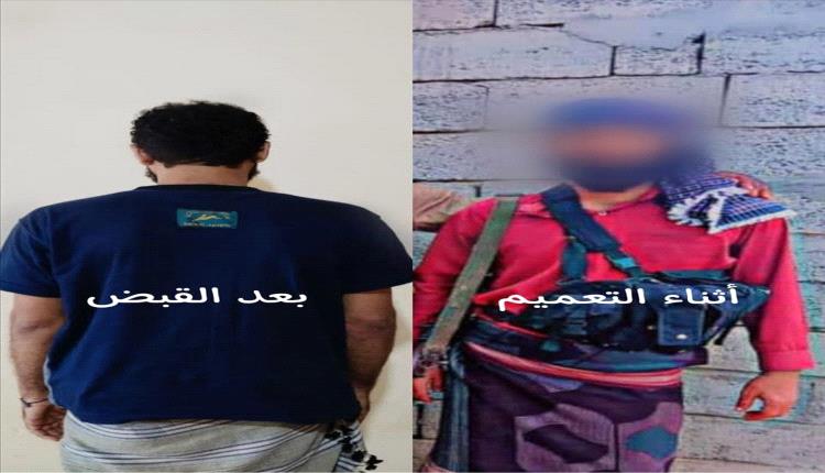 أبين : الأجهزة الأمنية تتمكن من إلقاء القبض على قاتل شقيقه