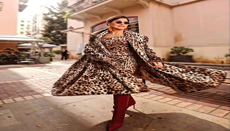 جومانا مراد تتصدر الترند بإطلالة أنيقة بنقشة النمر وإكسسوارات راقية