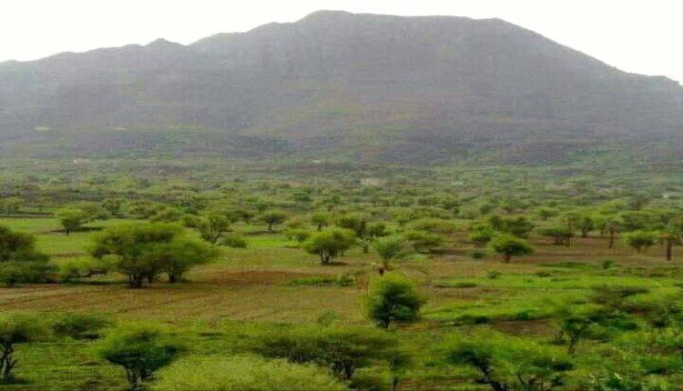 أبناء المشاولة والمعافر بتعز يناشدون النائب العام إحالة متهم بقضايا إرهـ,ـاب إلى المحكمة الجزائية المتخصصة