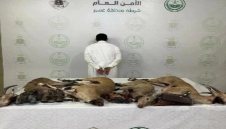 السعودية.. القبض على رجل اصطاد وعلاً مهدداً بالانقراض