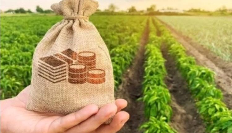 اختفاء المحتال المصري الشهير بـ«مستريح الاستثمار الزراعي» بعد النصب على الناس بمئات الملايين