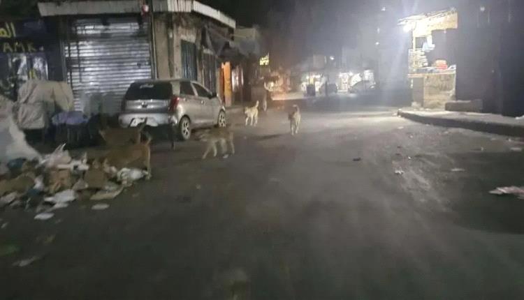 صادم .. الكلاب الضالة تختطف هذه المدينة وتمنع الناس من الصلاة!