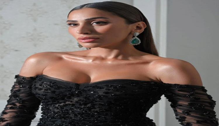 بين الفن والخصوصية.. دينا الشربيني تتحدث عن تأثير الإعلام على الفنانين