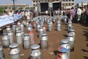 انهيار «الذهب الأبيض» في تهامة اليمنية.. قرار حـ.ـوثي يهدد منتجي الحليب