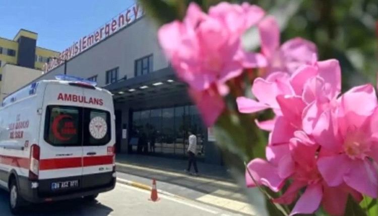 حادثة صادمة في تركيا.. رجل يدخل «العناية المركزة» بسبب أكل وردة على الطريق