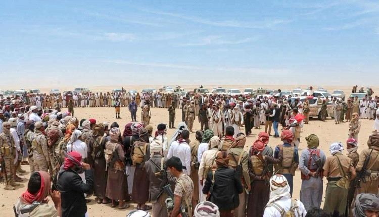 بلاغ عاجل من الجوف: اتهامات لعصابة "تهريب حشيش" باستغلال قضية "المطرح" لتغطية نشاطها