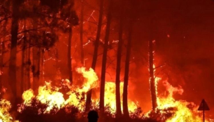 حرائق مرعبة في إسبانيا تُجلي سكان 12 قرية